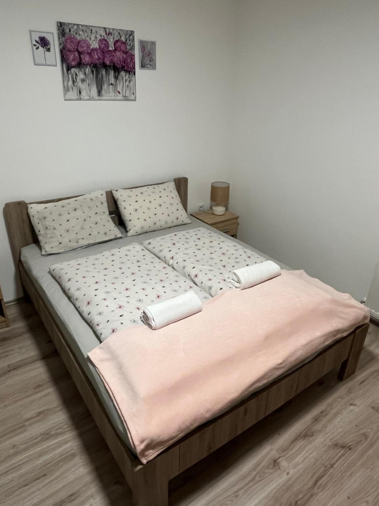 Mini Zoo Apartman Nagykanizsa Esterno foto